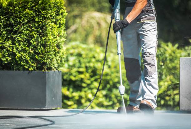 Best Dumpster Area Cleaning  in Perry, MI